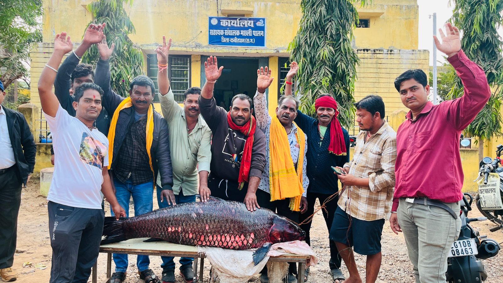 सरोदा बांध में मिला 6 फिट का मछली 
